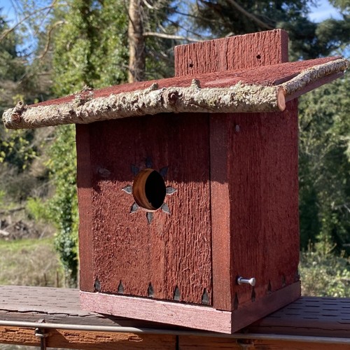Sparrow Shack (B) Handmade Birdhouse by Old Pacific Woodshop - Free Shipping - Picture 2 of 8