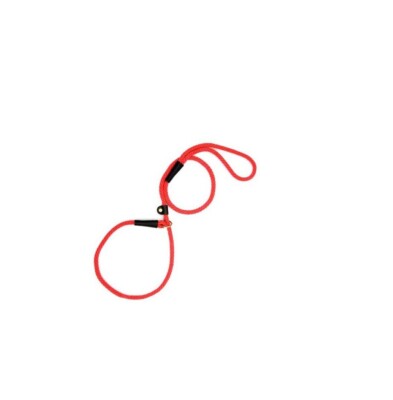 MENDOTA Slip Lead for Dogs Red 1/2 x 6' 
