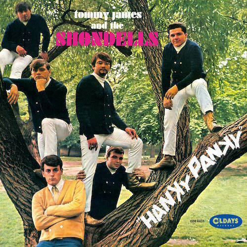 洋楽  James and the Shondells Tommy James and The Shondells: Anthology - Compilation by