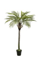 artplants Kunstbaum Kokospalme Bolon, 180Cm