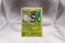 Gogoat  XY16  Holo Rare Promo XY Promos  Pokémon on eBay