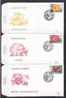 [LG79381] Belgium N°2589/2591FDC Buzin First Day Cover COB € 9,50 SUPERB