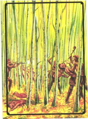 1995 Bon Air Native Americans #14 Wrath of the Iroquois!