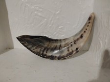 Beautiful KOSHER Polished Shofar Ram's Horn From Israel New