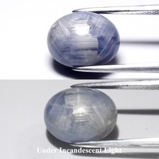    9.79ct 12.5x10.2mm Oval Blue 6 Ray Star Sapphire - Unheated, Myanmar Gem