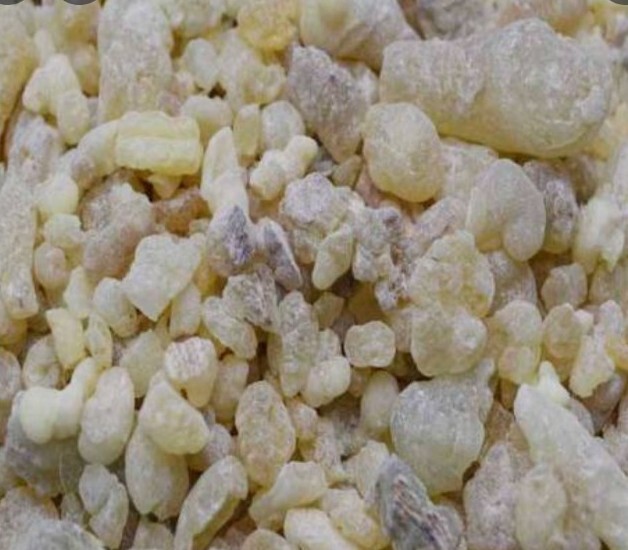 Omaní Frankinsence Boswellia Sacra Boost Immunity 1 Kg لبان حوجري عماني