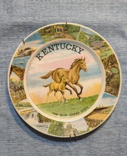 Vintage Souvenir Plate Kentucky Blue Grass State Mare And Colt 9" 
