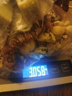 3 Pound Lot Bulk Costume Fashion Gems Jewelry Lot Craft Resale Multi Purpose  — photo 2