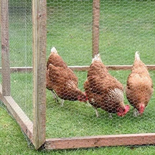 Galvanised Chicken Wire Mesh Hexagonal Pet Wire Netting for Plants Protection - Picture 7 of 13
