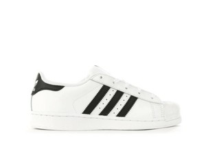 superstar lacci