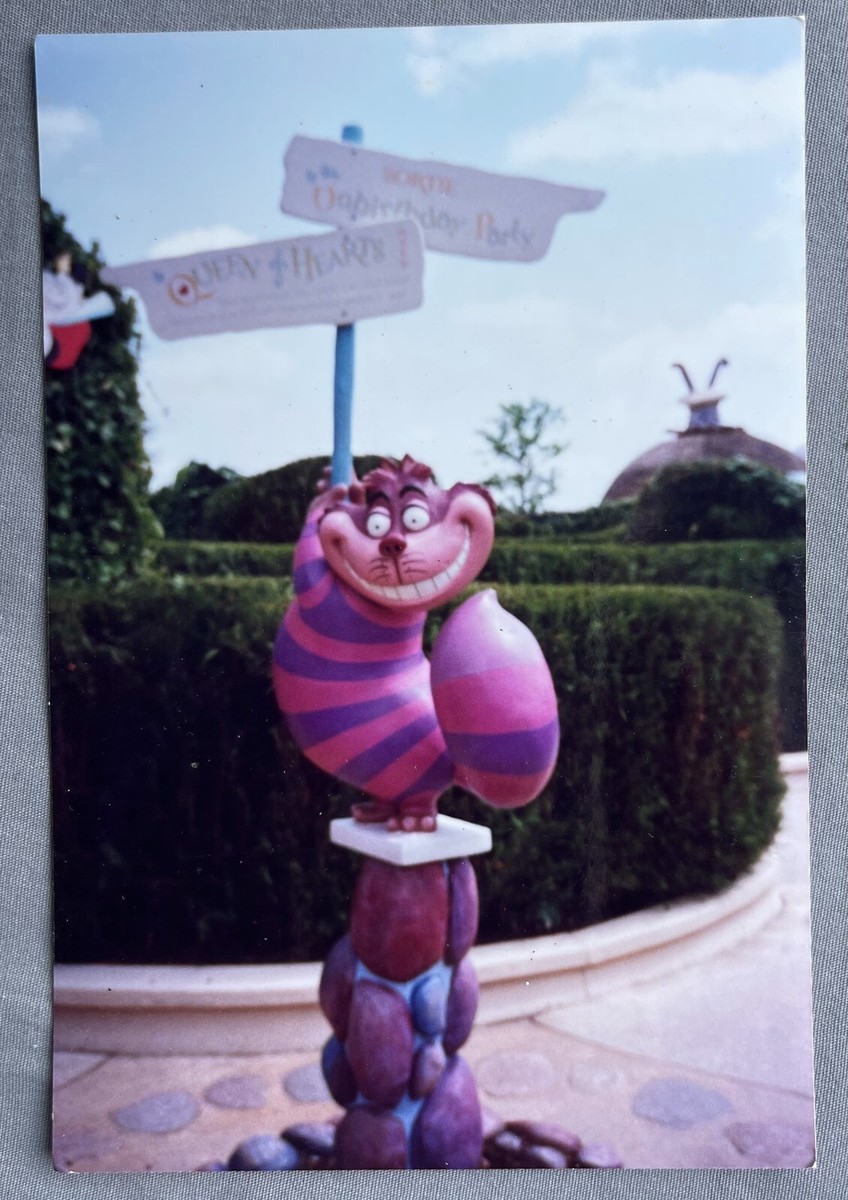 肩乗せ CHESHIRE CAT Disneyland Paris Disneyland Paris Alive In Wonderland Cheshire Cat Shoulder