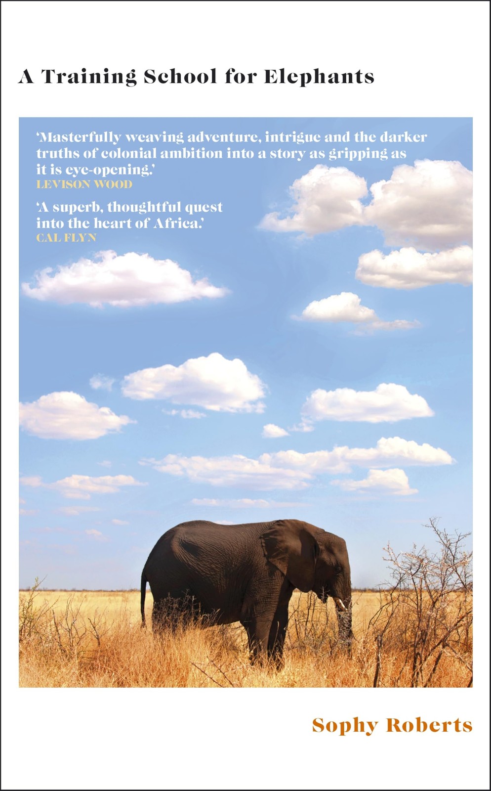 A Training School for Elephants: The powerful, Sunday Times best