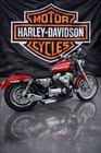 2002 Harley Davidson Sportster