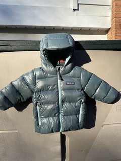 Patagonia Baby Unisex Hi Loft Down Sweater Hoody 3 6 Months