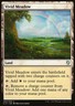 Magic the Gathering MTG Vivid Meadow (293) Commander 2017   LP