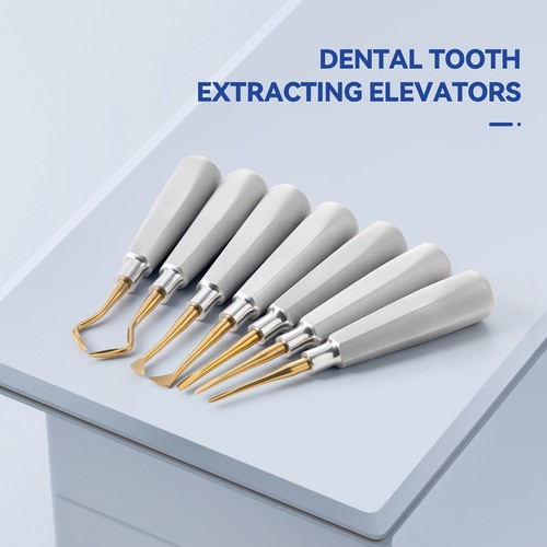Elevadores extracción de raíces dentales Instrumento quirúrgico con cabeza de or - 第 9/60 張圖片