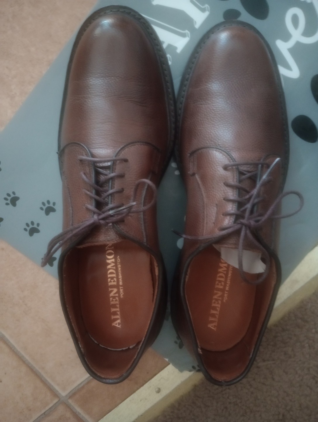 SAOLA Scarpa Allen Edmonds Pebble Grain Blucher Leeds 2.0 marrone dainite US uomo 8 5 D