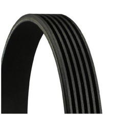 Keilrippenriemen für Mini R50 R55 R56 R58 R57 R60 R61 R59 23905560