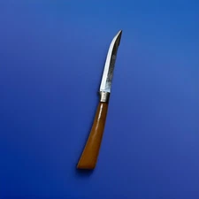 Steak Knife With Orange Handle