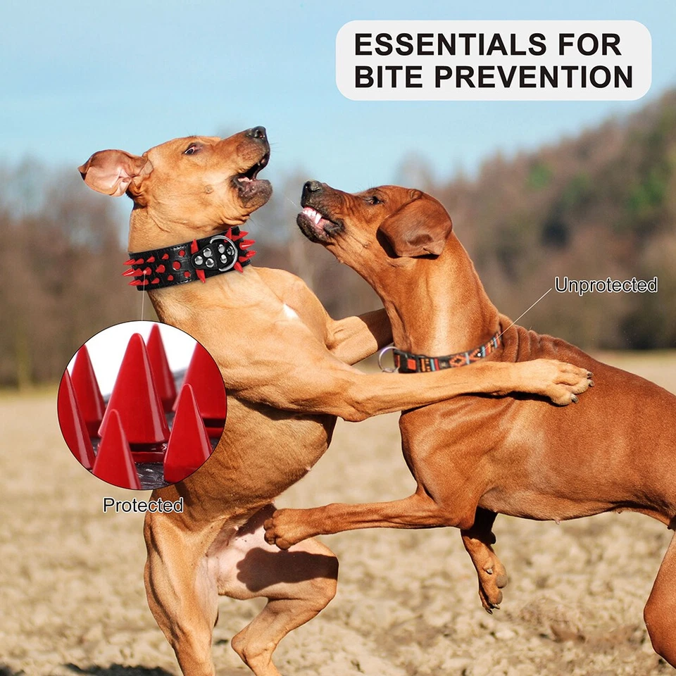 2inch Spiked Studded Dog Collar Adjustable for Pitbull Heavy Duty PU Leather ☋ - Image 3 of 4