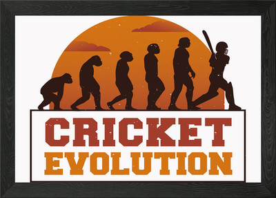 Gerahmtes Wandbild Cricket Evolution Poster Leinwanddruck Bild