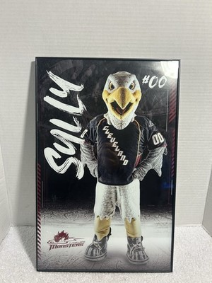 SULLY Lake Erie Monsters Mascot  AHL  Framed Picture