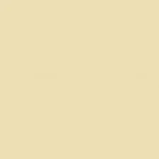 1oz Bottle Radome Tan FS33613 Acrylic Paint (6/Bx)