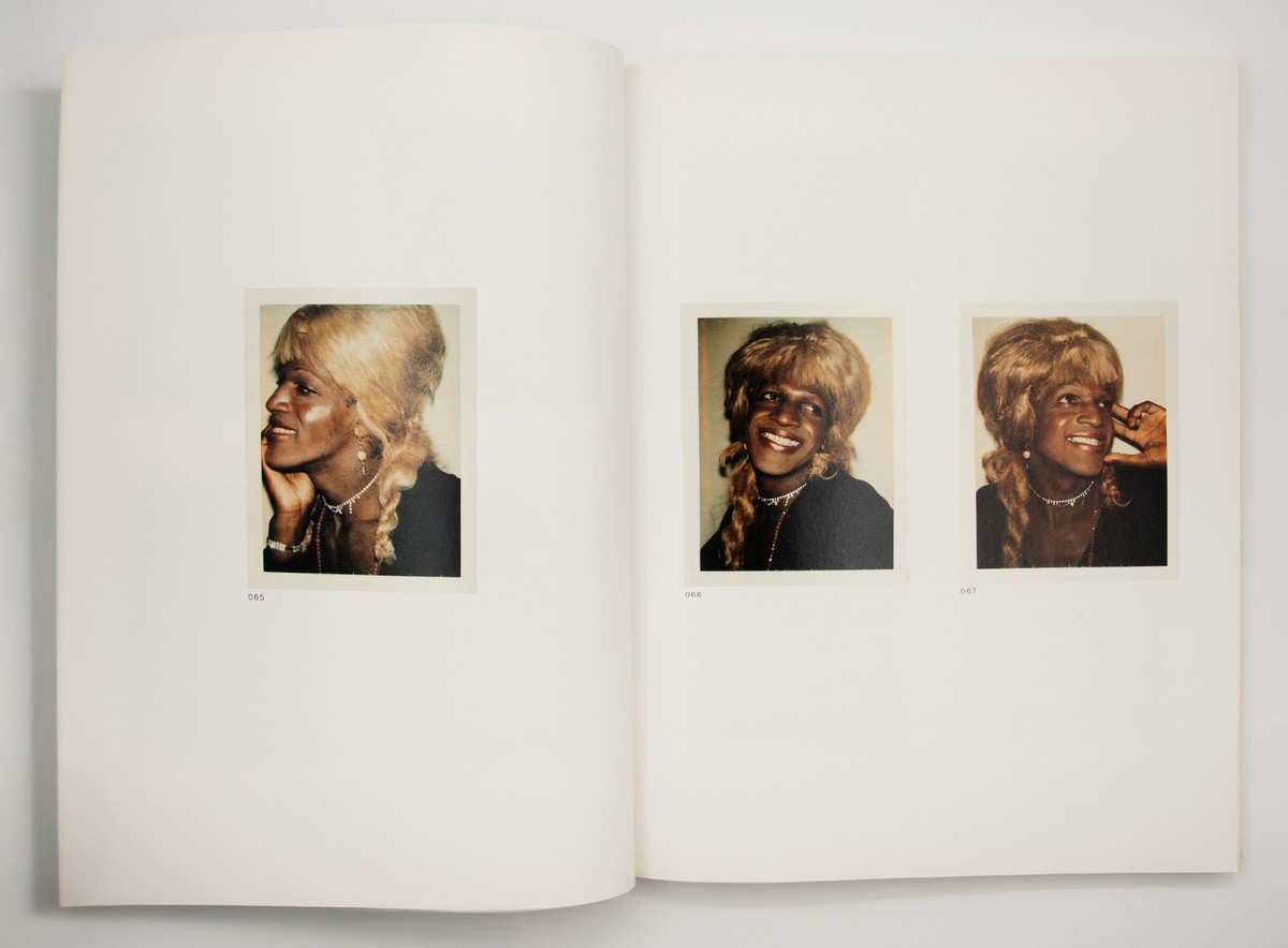 Andy Warhol : Ladies and Gentleman, Sex Parts, Torsos, Polaroids