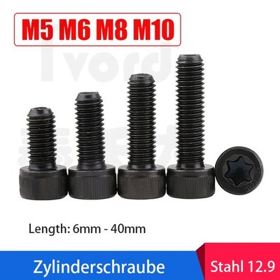 Zylinderschraube Torx Zylinder Kopf Schrauben Schwarz Stahl 12.9 M5 M6 M8 M10
