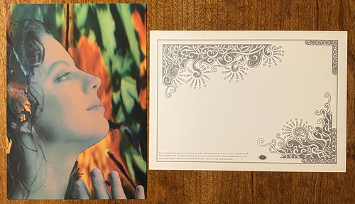 SARAH McLACHLAN Good Enough 1994 US PROMO CD PRESS KIT Fumbling Towards Ecstasy - Picture 11 of 11