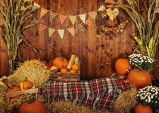AIIKES 6X4FT Fall Thanksgiving Photo Backdrop Rustic Wood Board Barn Harvest Pho