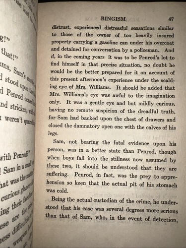 Penrod and Sam - 1916 - by Booth Tarkington - Picture 6 of 11