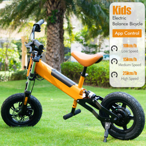 12 Zoll E Bike Kinderfahrrad Kinderlaufrad Elektro Rad Balance Bike 24V 4AH 20a3