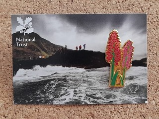 National Trust GIANTS CAUSEWAY Iris Charity Pin Badge