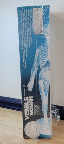 Skilcraft Visible Woman Anatomy Model Kit 74623 Vintage - Picture 3 of 14