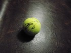 SERENA WILLIAMS & VENUS WILLIAMS AUTOGRAPHED NEW PENN TENNIS BALL W/COA — photo 2