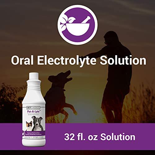 Vet Classics Pet-A-Lyte Oral Electrolyte Solution for Dogs and  Assorted Sizes 