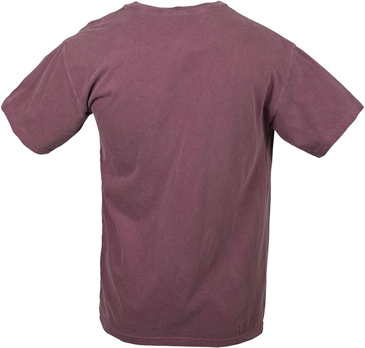 Comfort Colors Heren T-shirt met korte mouwen, stijl 1717, Lichtgroen Comfort Colors Heren T-shirt met korte mouwen, stijl 1717, Lichtgroen