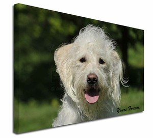 labradoodle wall art