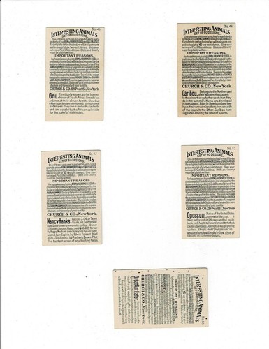 Lot of 12 Arm & Hammer Interesting Animals Church & Co. - Picture 4 of 4