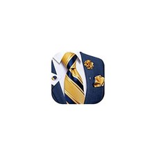Silk Ties for Men Necktie and Lapel Pin Brooch Set 04 Striped blue Yellow