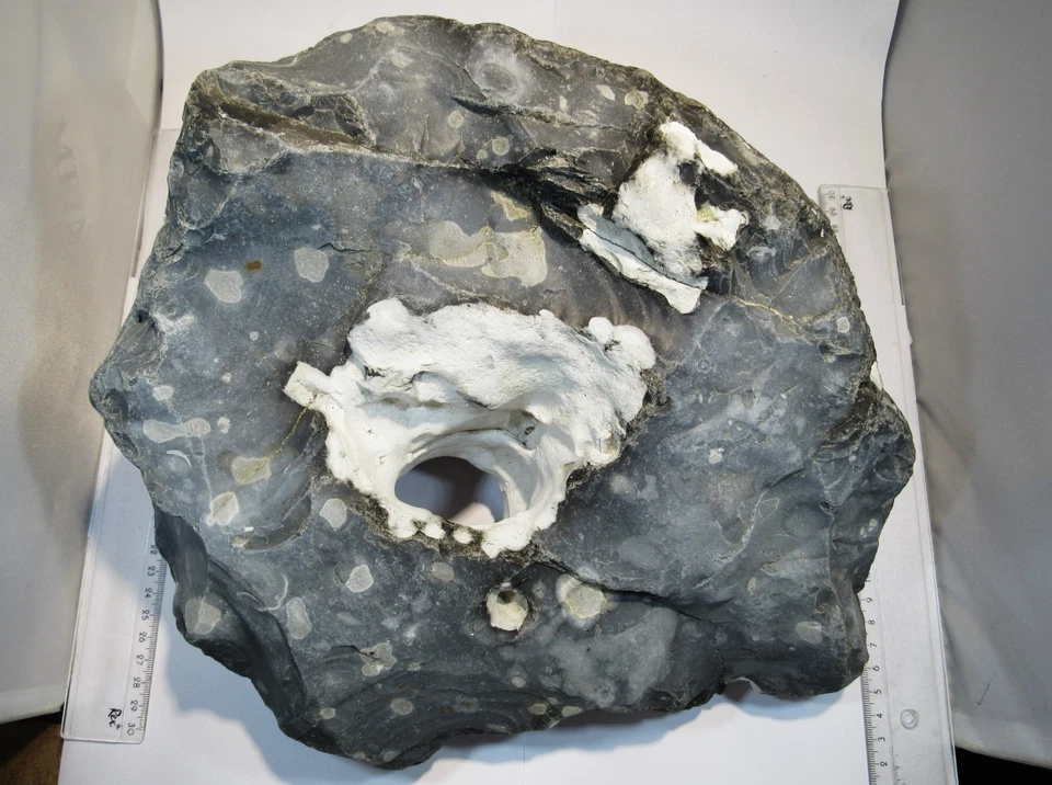 S210 XXL Hühnergott Loch Feuerstein mit Kreide 35x30x16cm 13,7Kg Møn Dänemark - Bild 4 von 4