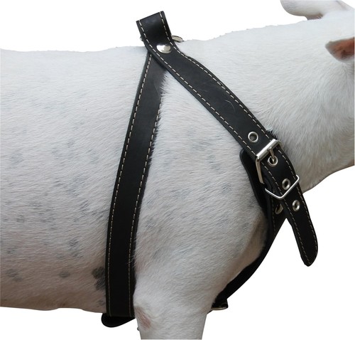 High-Quality Leather Dog Harness for Medium Breeds - Perfect for Daily Walks - Picture 6 of 6