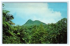 Postal Picacho Mountain & Tower El Yunque Rainforest Puerto Rico