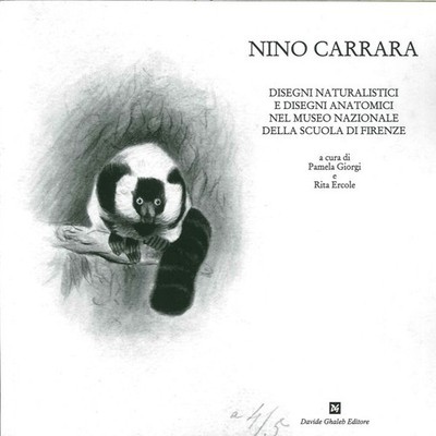 Buch - Pamela Giorgi / Rita Hercules - Nino Carrara. Naturalistische Zeichnungen Und Dise