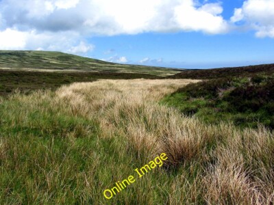 Foto 6x4 gebleichte Binsen am oberen Common Burn Coldburn Hill c2014