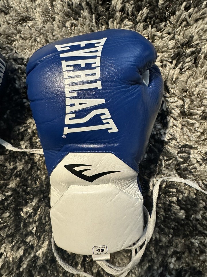 EVERLAST Elite Pro Fight Gloves 10 OZ XL eBay