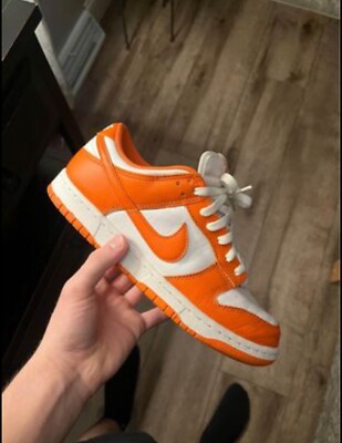 Size 8 - Nike Dunk Low Retro SP Syracuse 2020