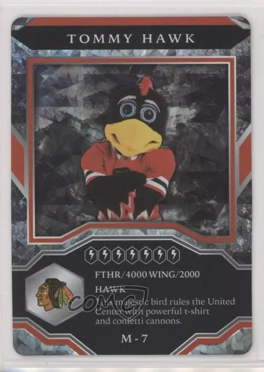 Tommy Hawk trading card
