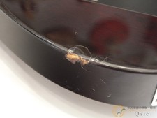 B.C.Rich EAGLE Masterpiece Bass [Returns OK] [ULW13] [Abeno store stock]